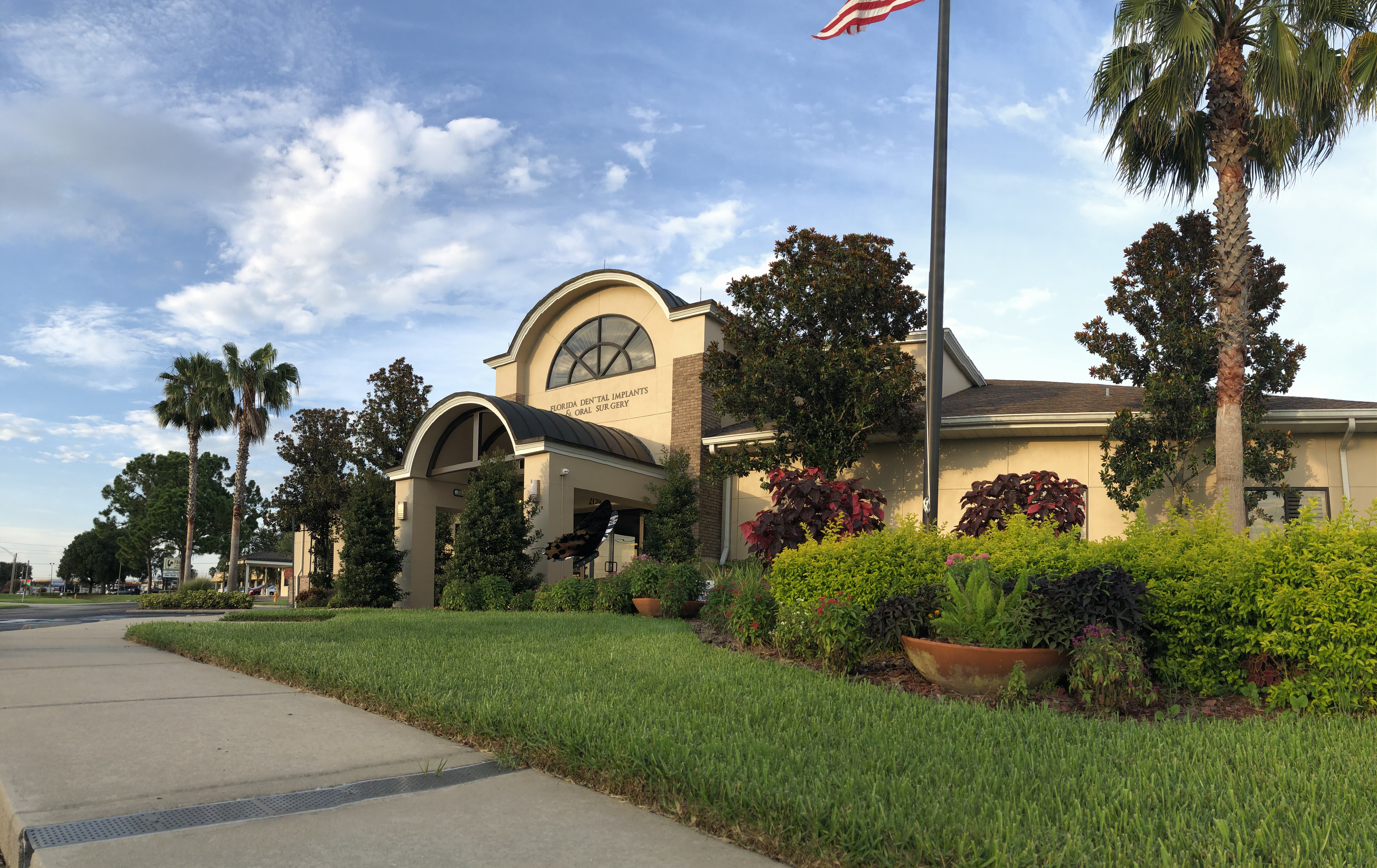 palm tree dental lakeland fl